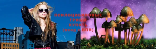 Альфа ПВП Михайловск