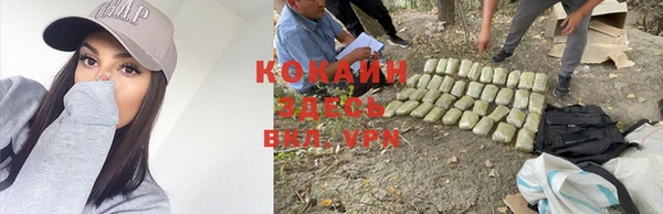 эйфоретик Медвежьегорск