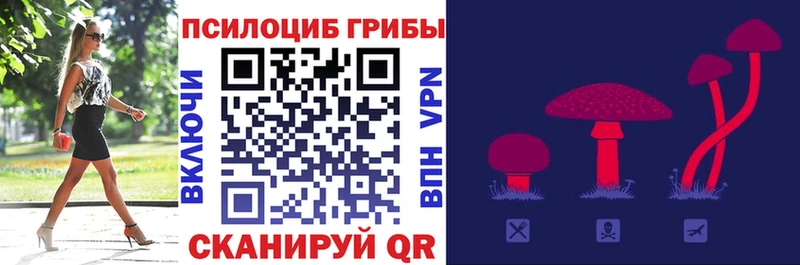 где продают наркотики Никольское Галлюциногенные грибы мицелий