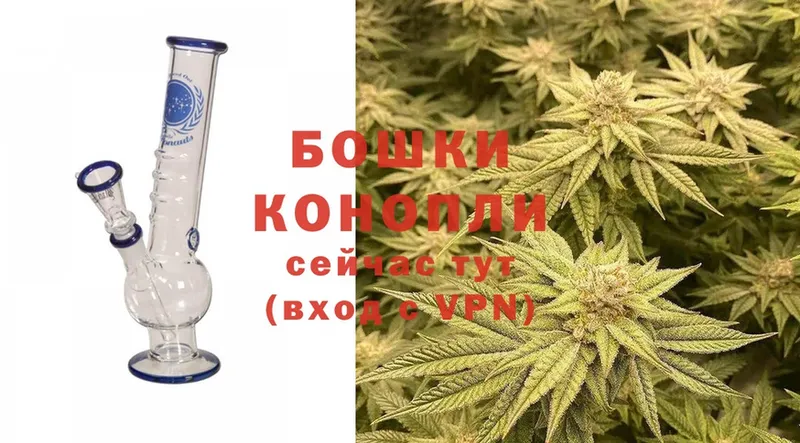 где продают наркотики  Никольское  Канабис LSD WEED 